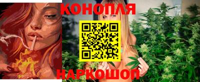 молекула духа Лесосибирск