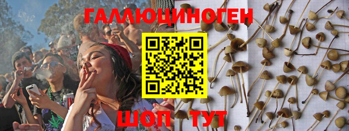 Псилоцибиновые грибы Magic Shrooms  Вход с VPN  Гудермес 